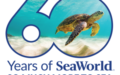 Los 60 años de SeaWorld se festejan en todos sus parques